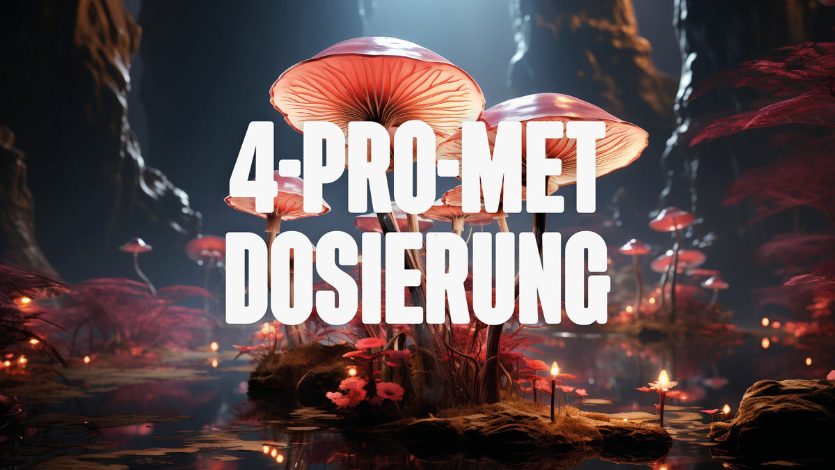Magic Mushrooms in a cave