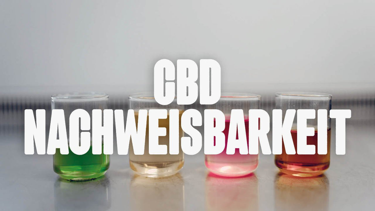 Alles, was du über CBD Nachweisbarkeit wissen musst: Ein umfassender Guide - Happy420.de