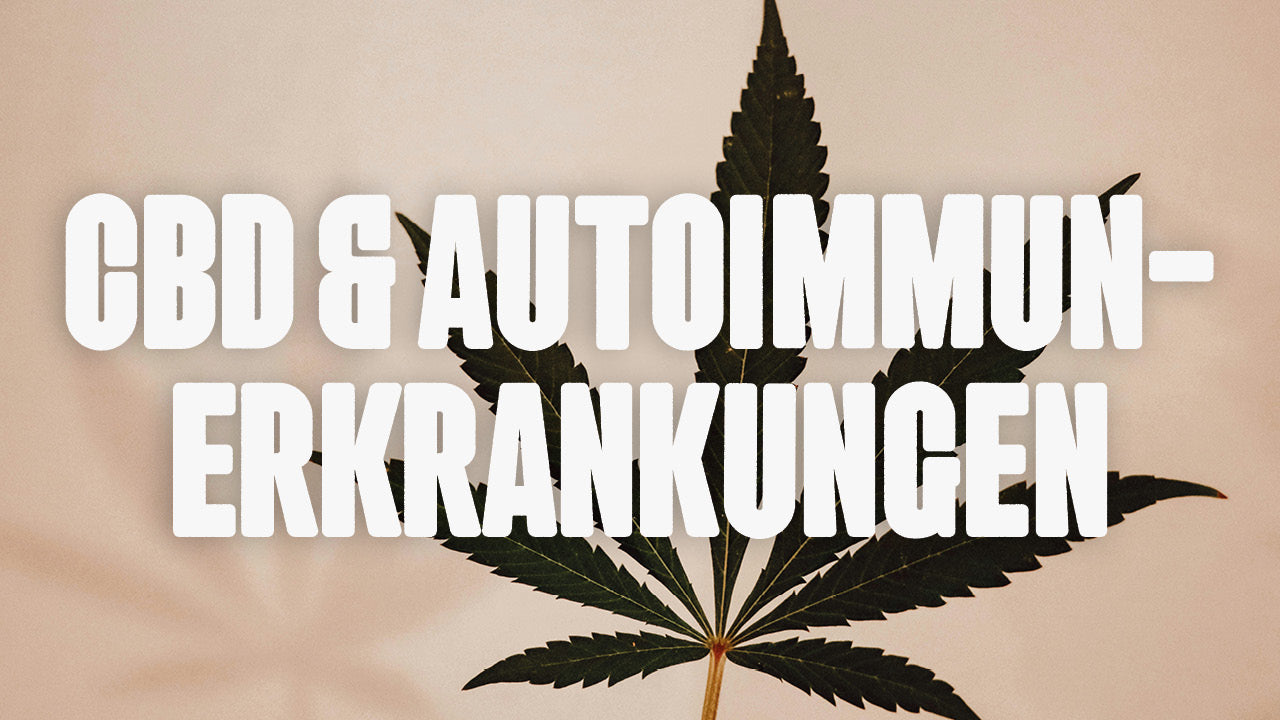 CBD & Autoimmunerkankungen