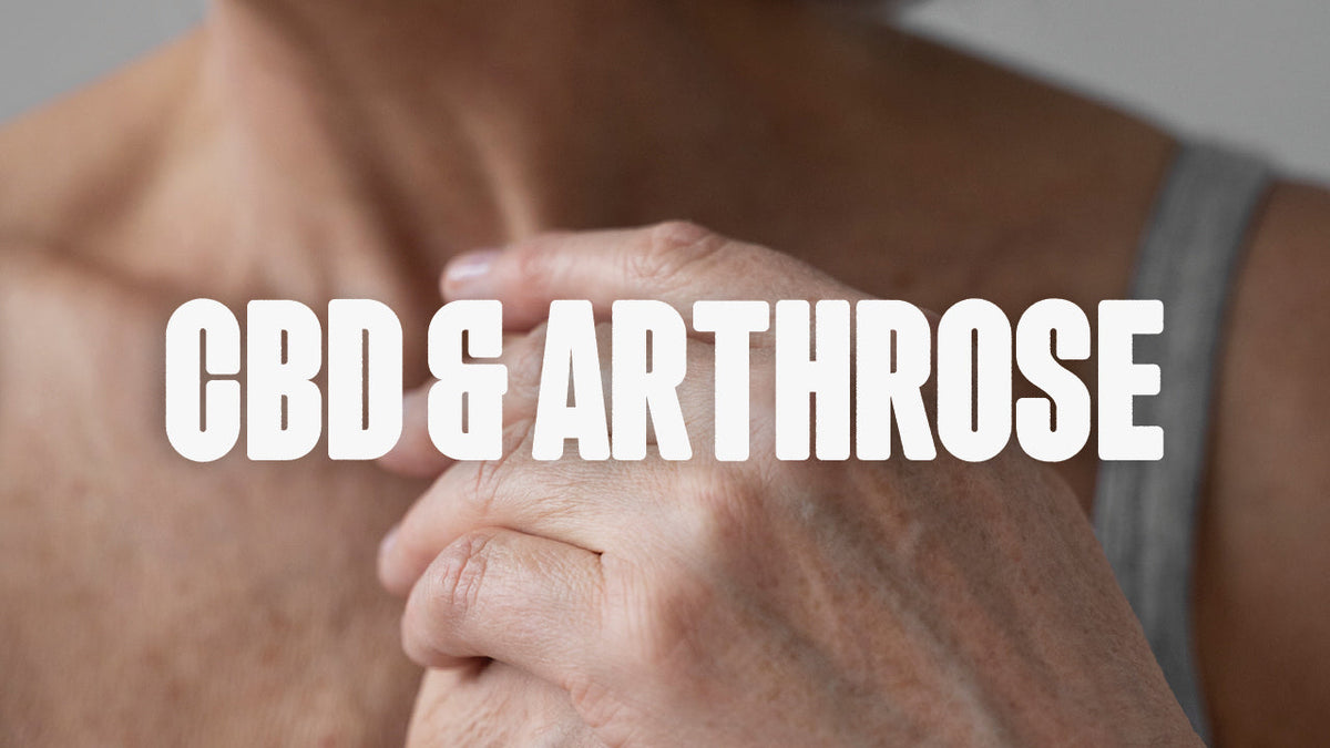 CBD und Arthrose