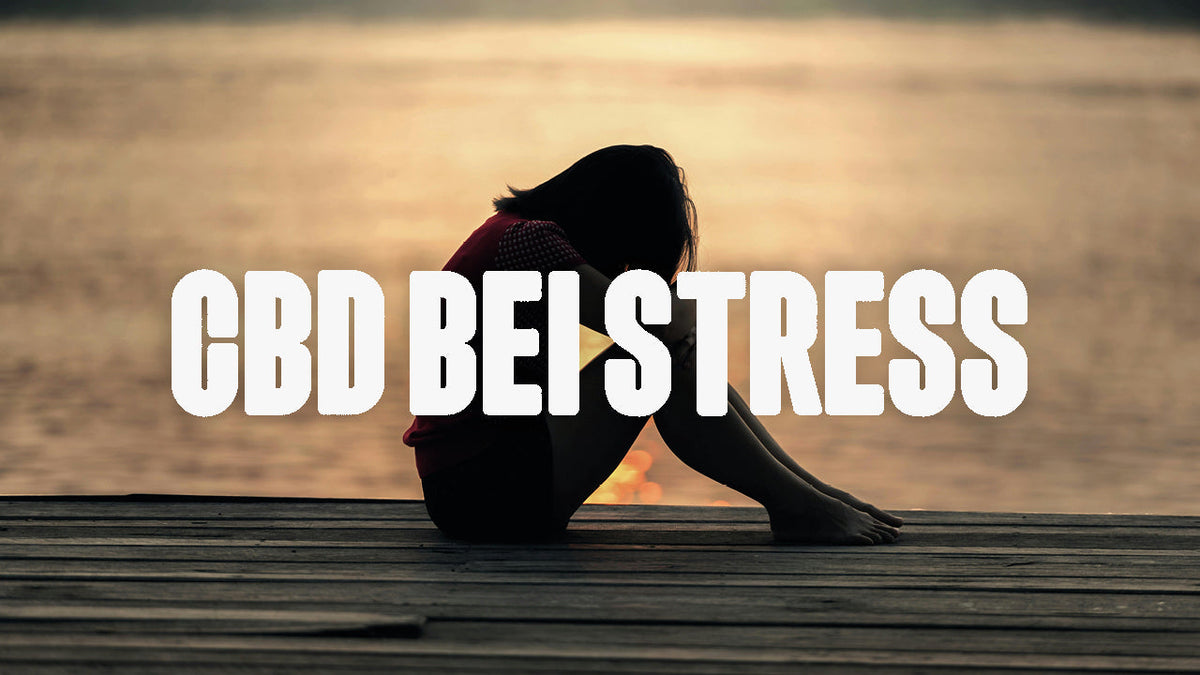 CBD bei Stress