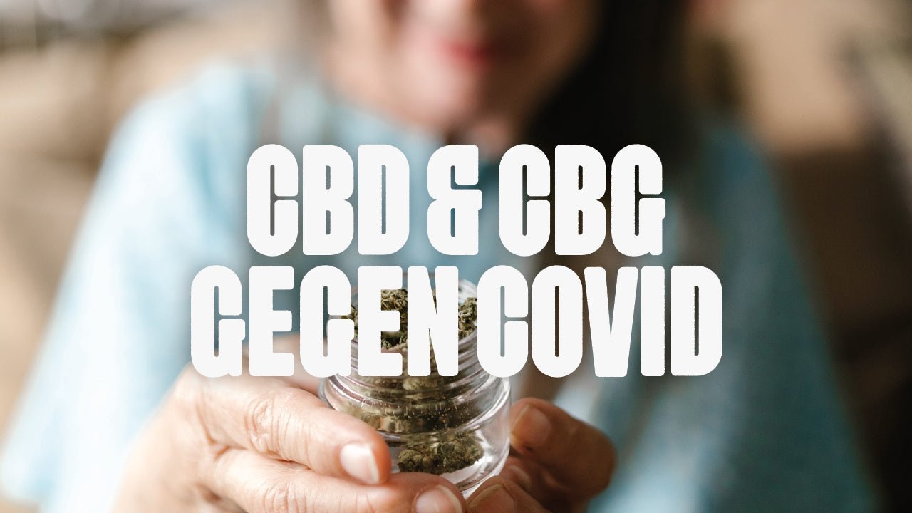 CBD & CBG als Wunderwaffen gegen COVID-19 - Happy420.de