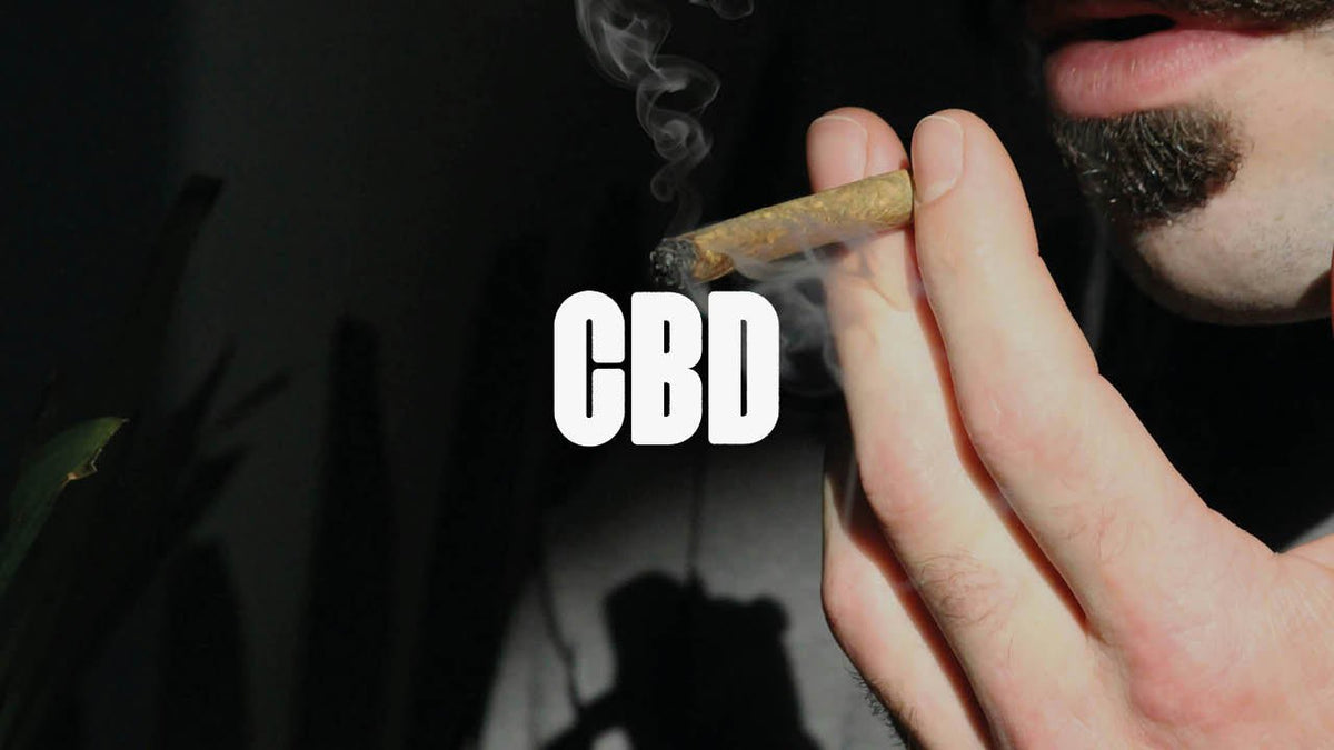 CBD konsumieren – Dein Guide für alle Konsumformen und Tipps - Happy420.de