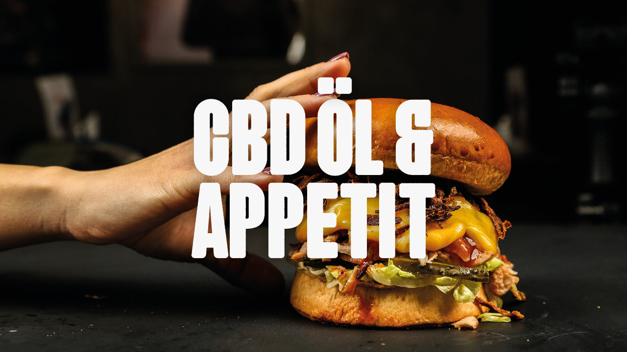 CBD Öl und Appetit