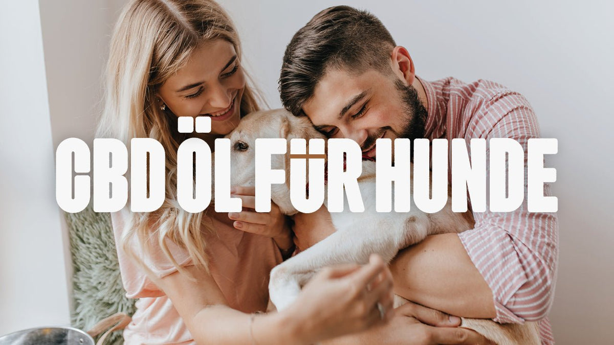CBD Öl für Hunde - Happy420.de
