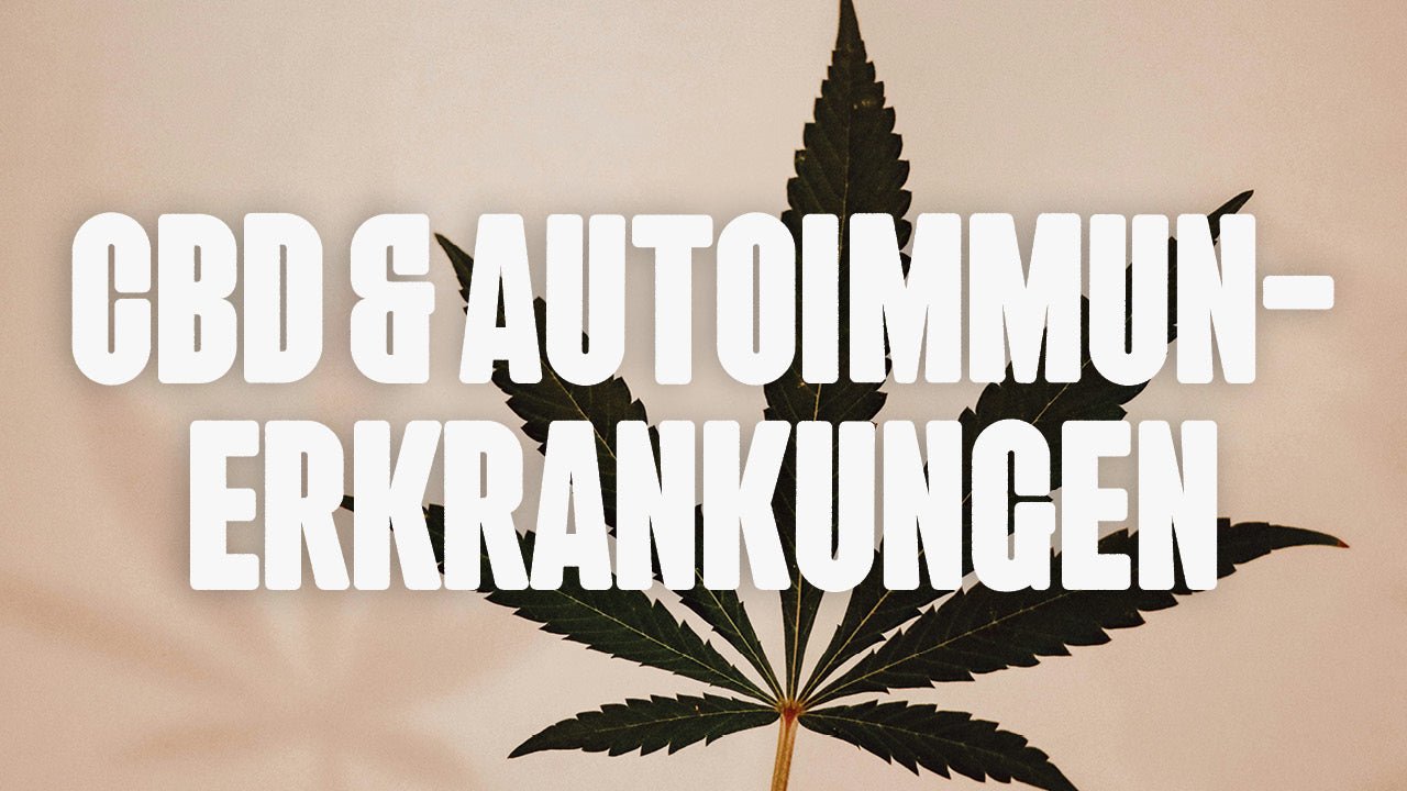 CBD und Autoimmunerkrankungen - Happy420.de
