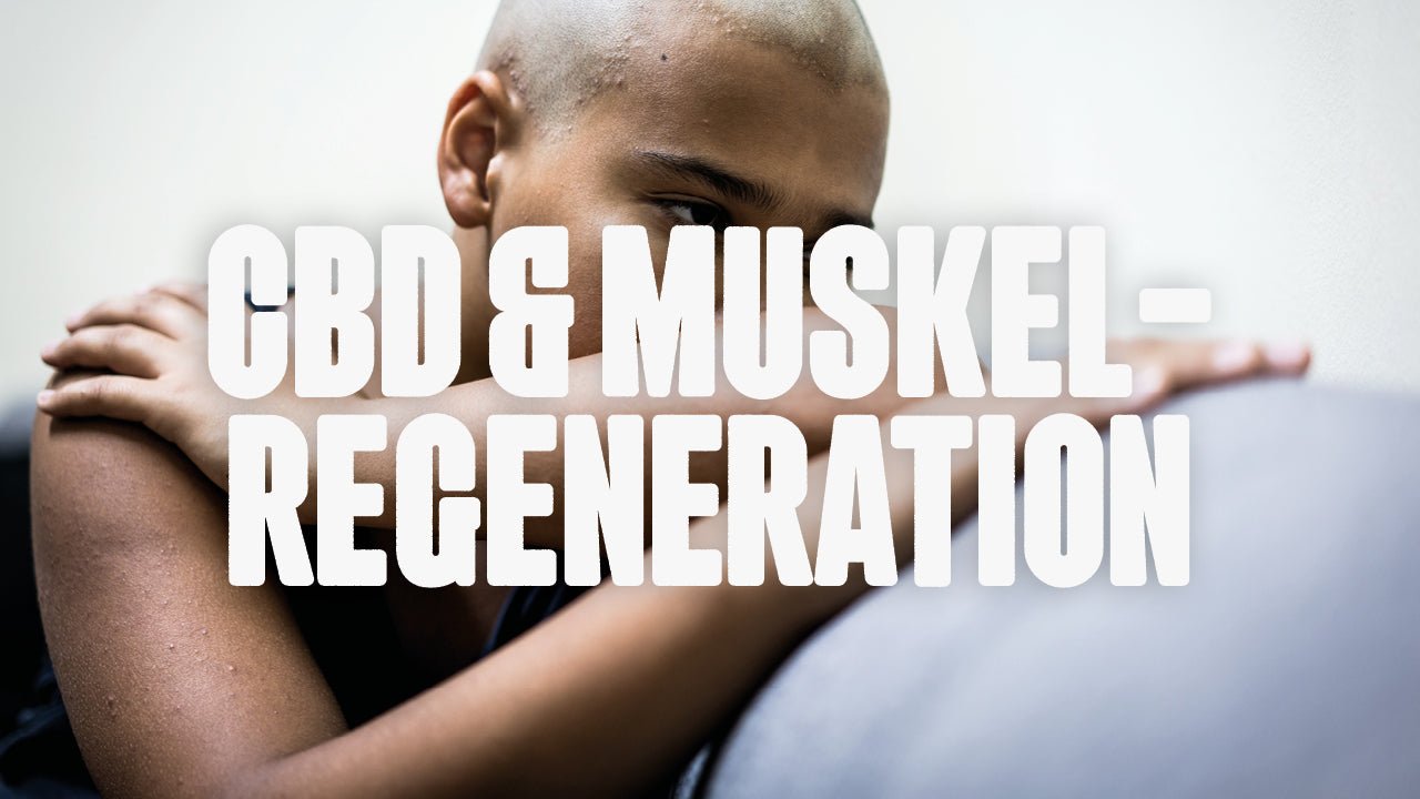 CBD und Muskelregeneration - Happy420.de