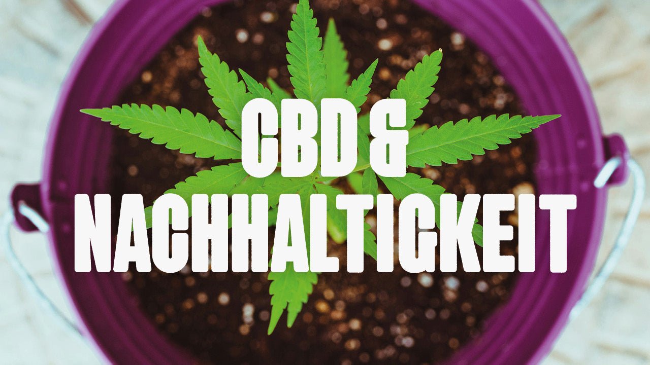 CBD und Nachhaltigkeit - Happy420.de