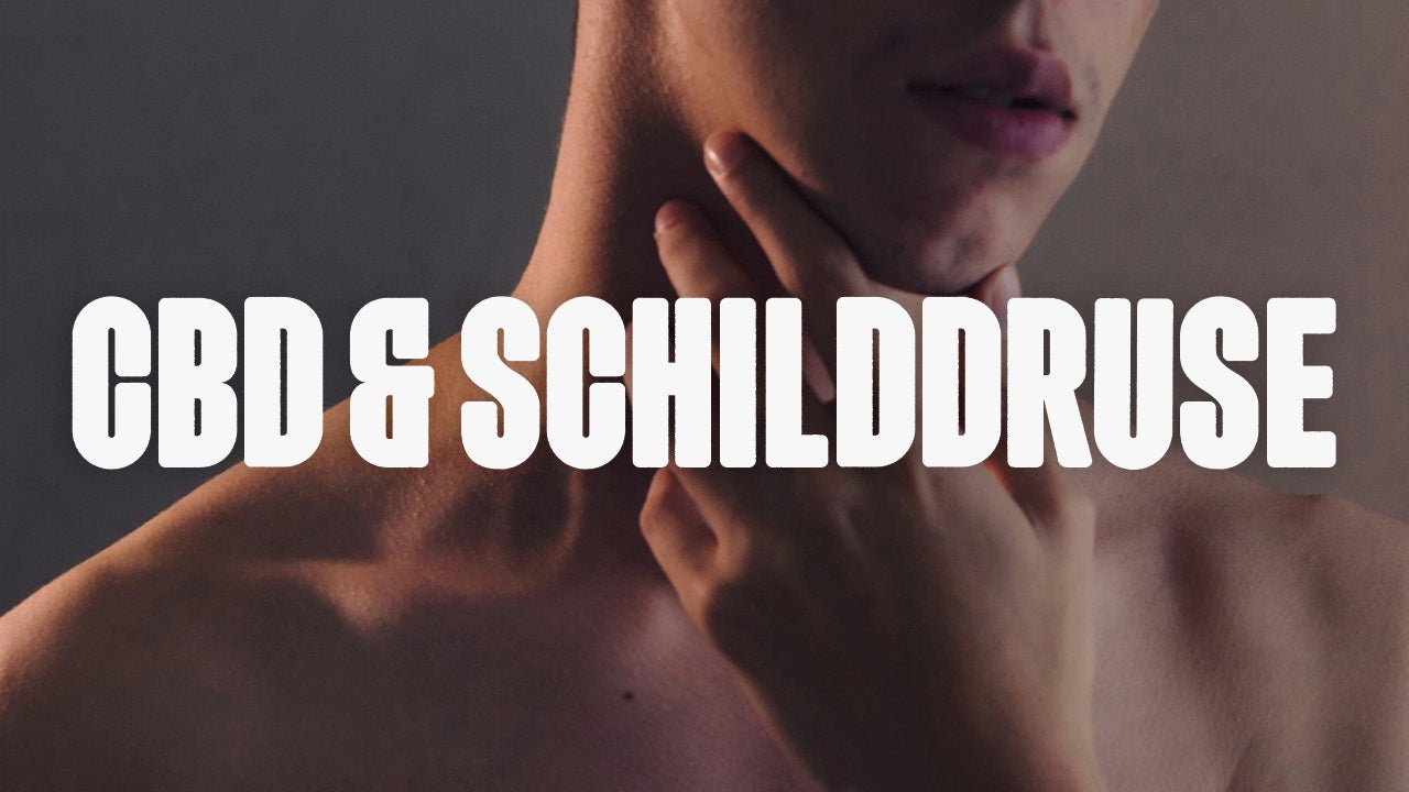 CBD und Schilddrüse - Happy420.de