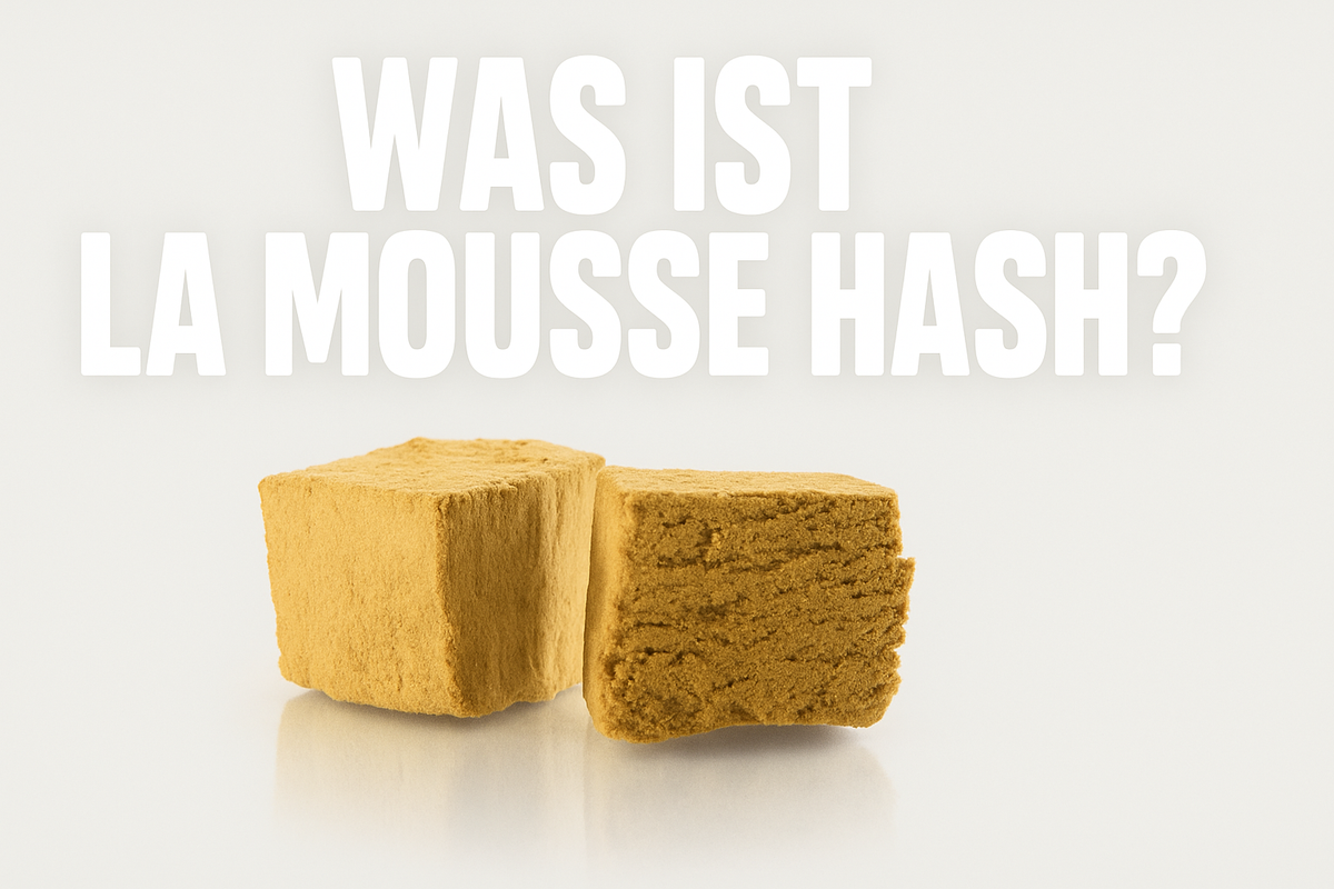 Zwei Stück helles Hasch