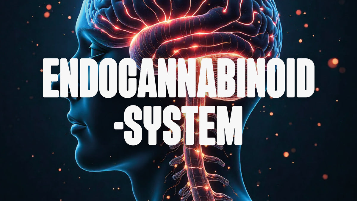 Endocannabinoid-System