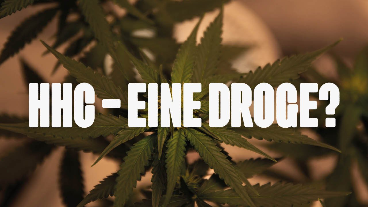 Ist HHC eine Droge? Alles, was Sie über dieses teilsynthetische Cannabinoid wissen sollten - Happy420.de