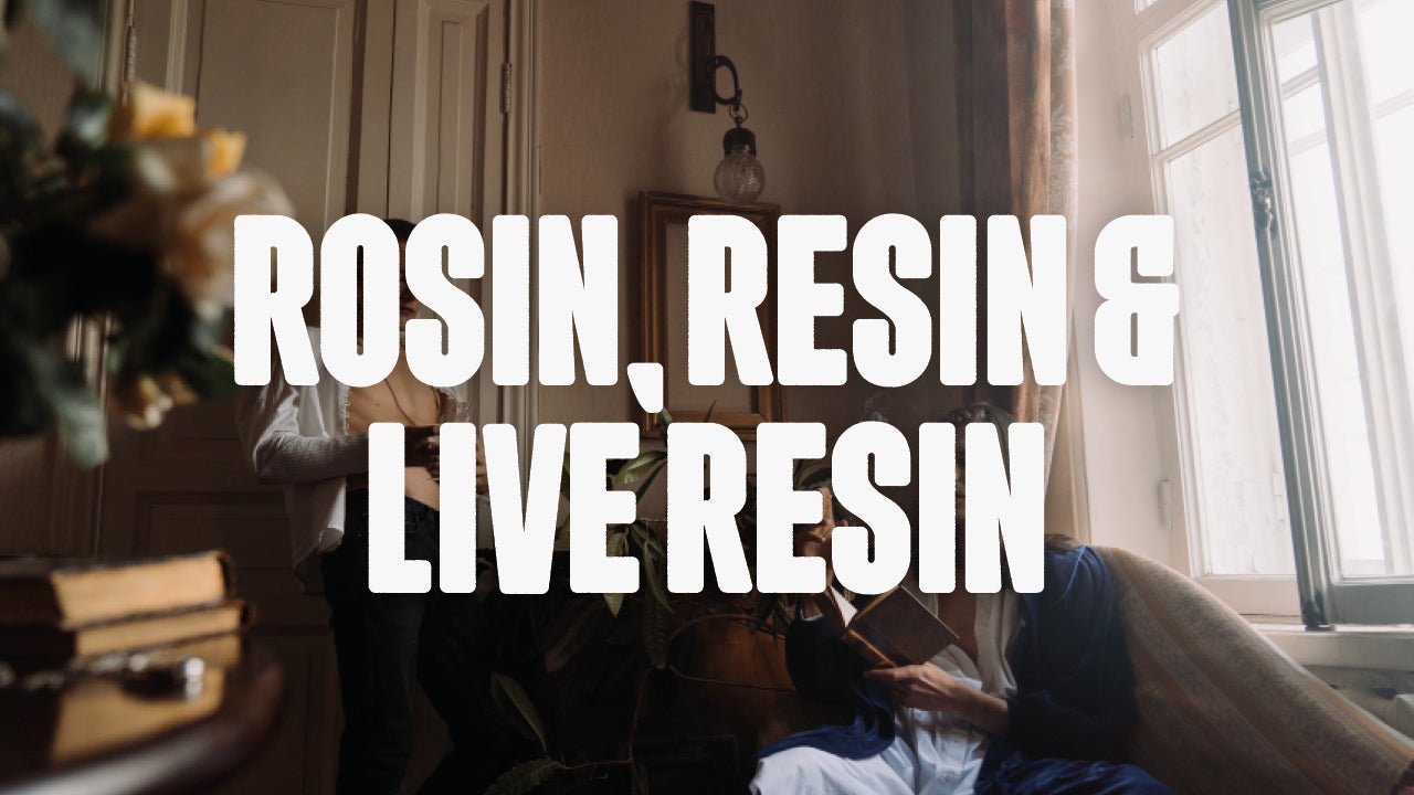 Unterschiede zwischen Rosin, Resin und Live Resin: Ein umfassender Leitfaden - Happy420.de