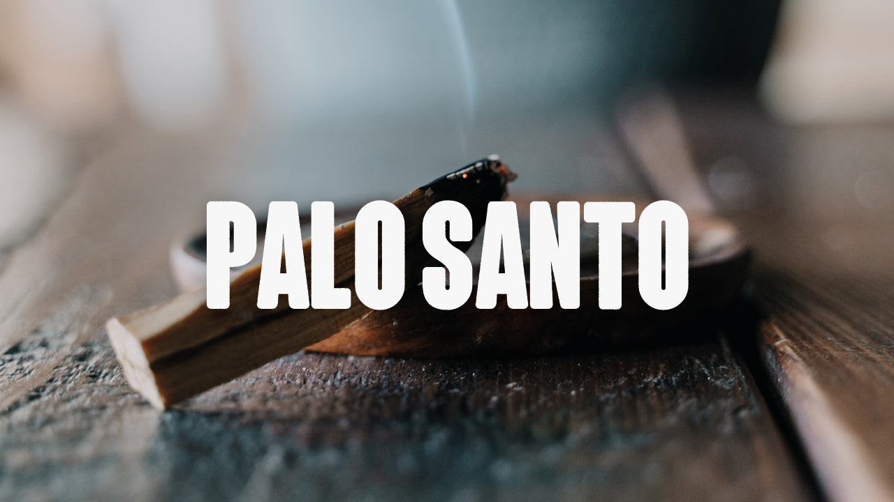 Was ist Palo Santo? - Happy420.de