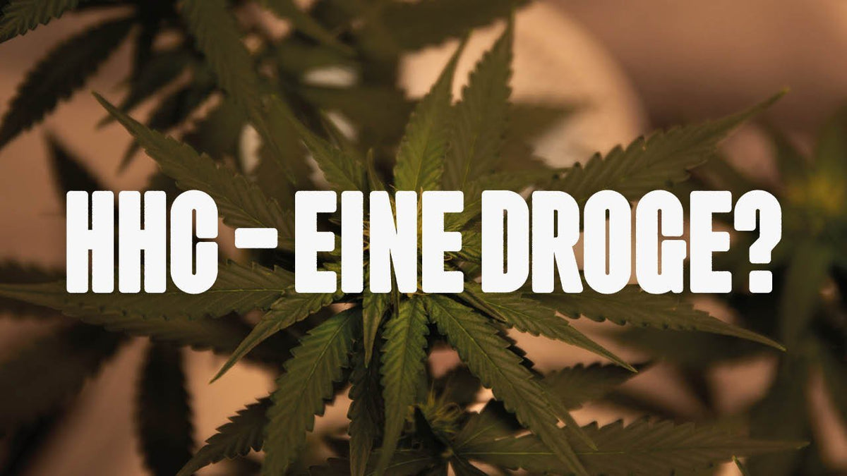 Ist HHC eine Droge? Alles, was Sie über dieses teilsynthetische Cannabinoid wissen sollten - Happy420.de