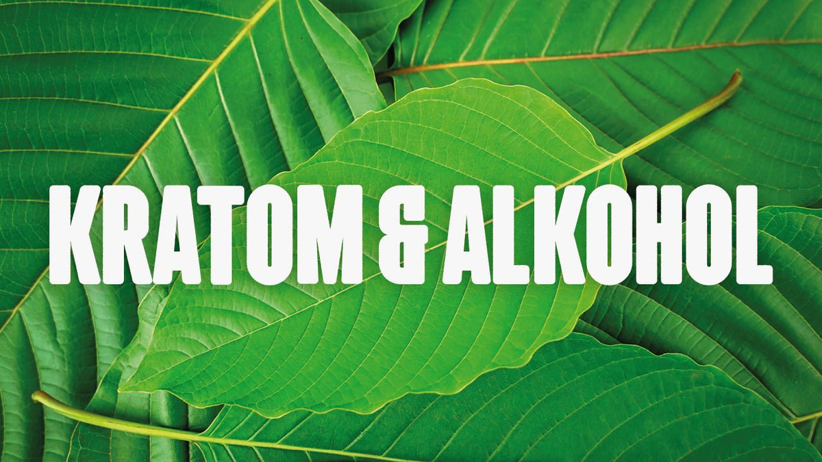Kratom und Alkohol: Eine riskante Kombination? - Happy420.de