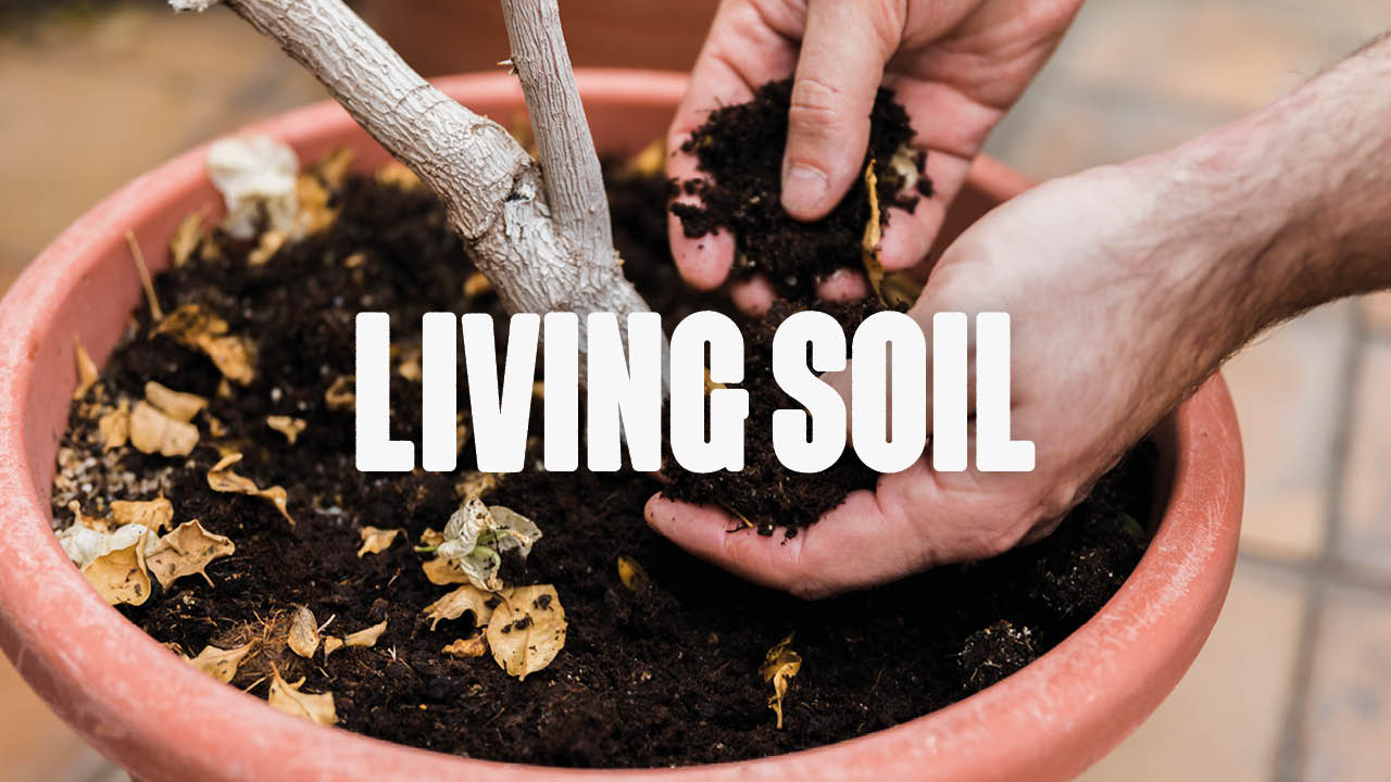living soil