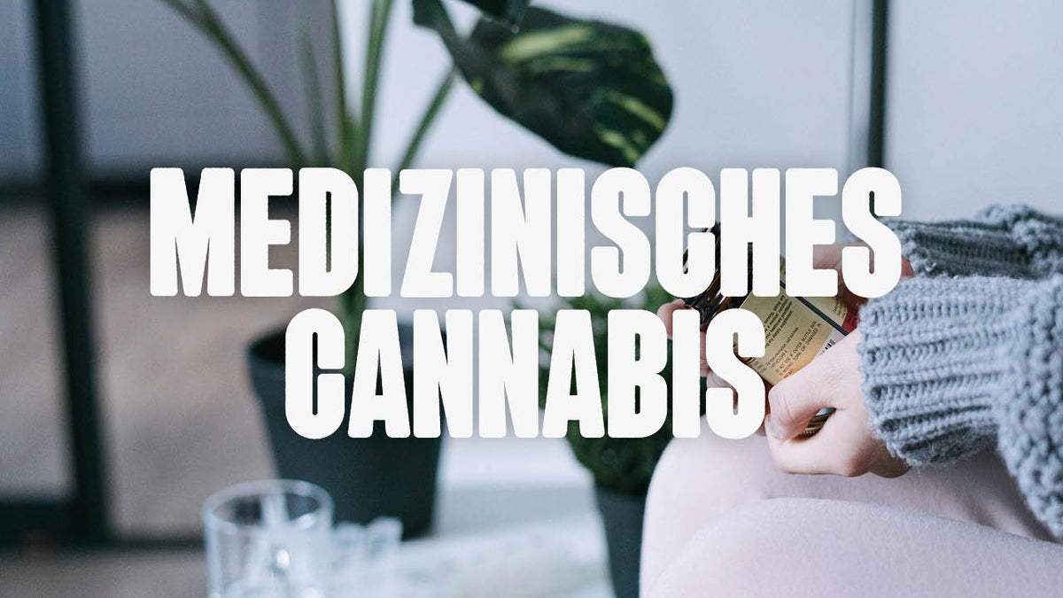medizinisches Cannabis