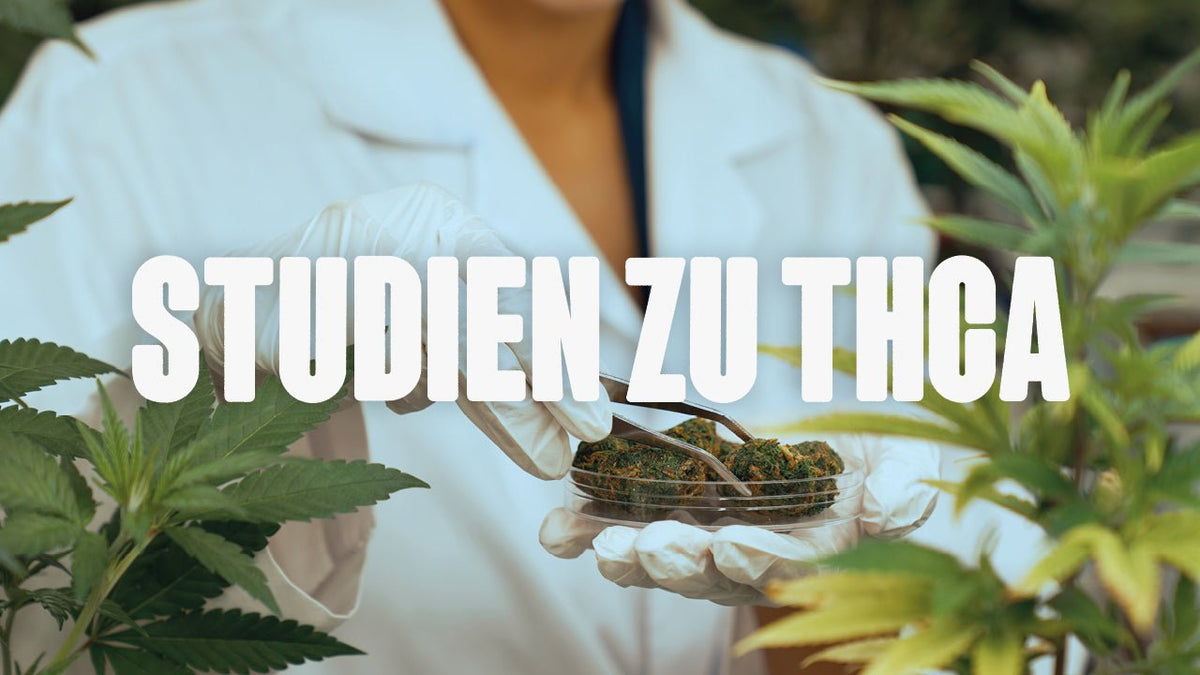 Studien zu THCA - Happy420.de
