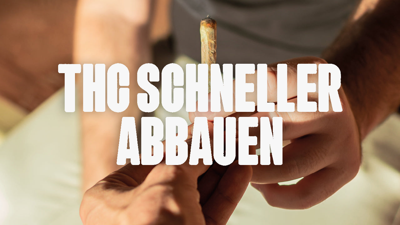 THC schneller abbauen