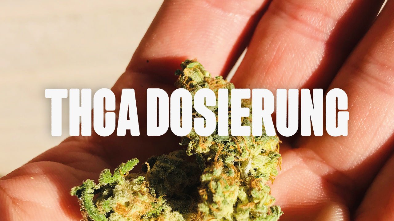 THCA Dosierung - Happy420.de