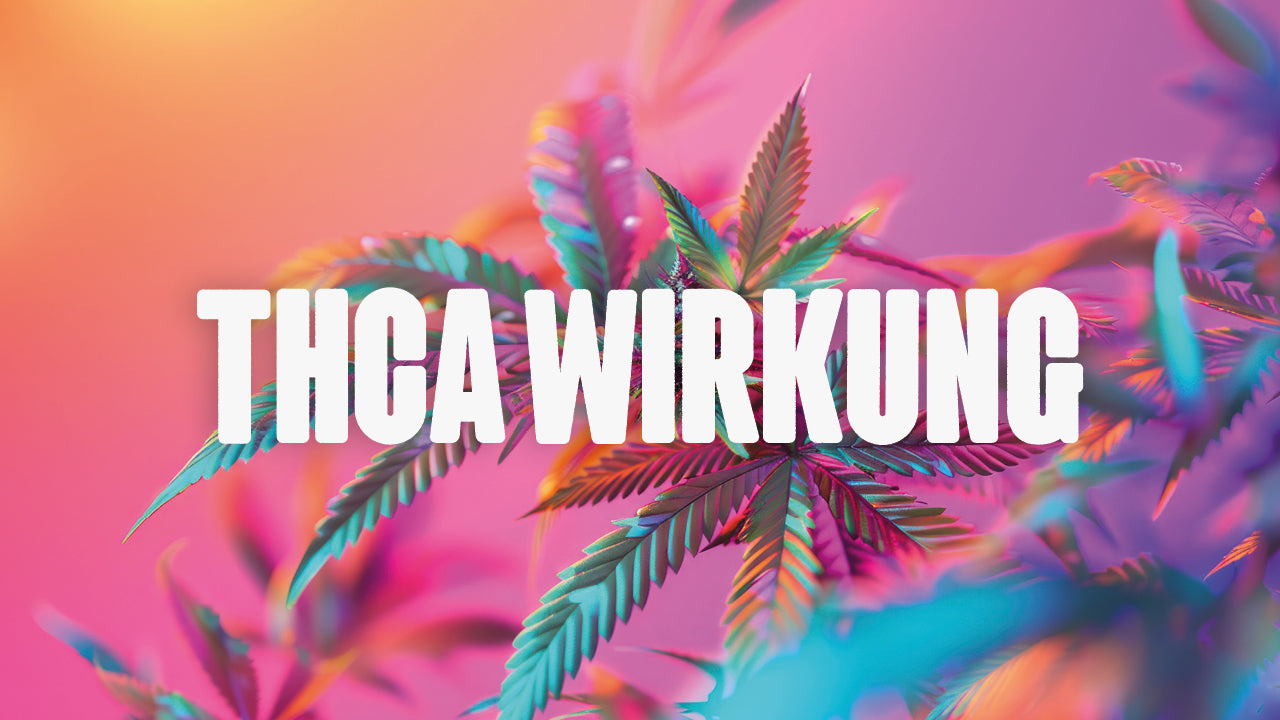 Cannabis Blatt mit bunter Farbe