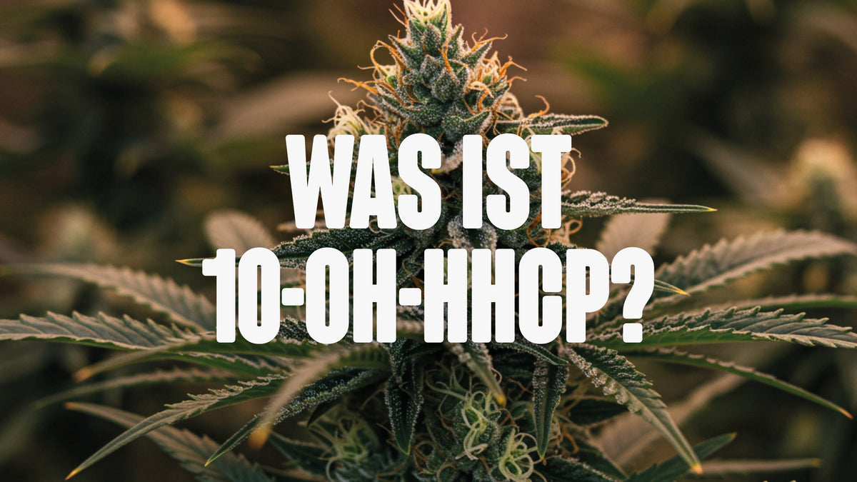 10-OH-HHCP