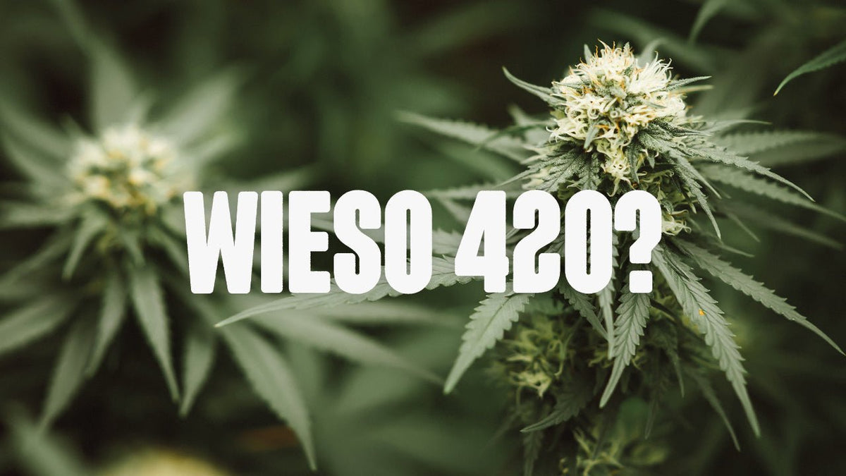 Was ist eigentlich Happy420? - Happy420.de