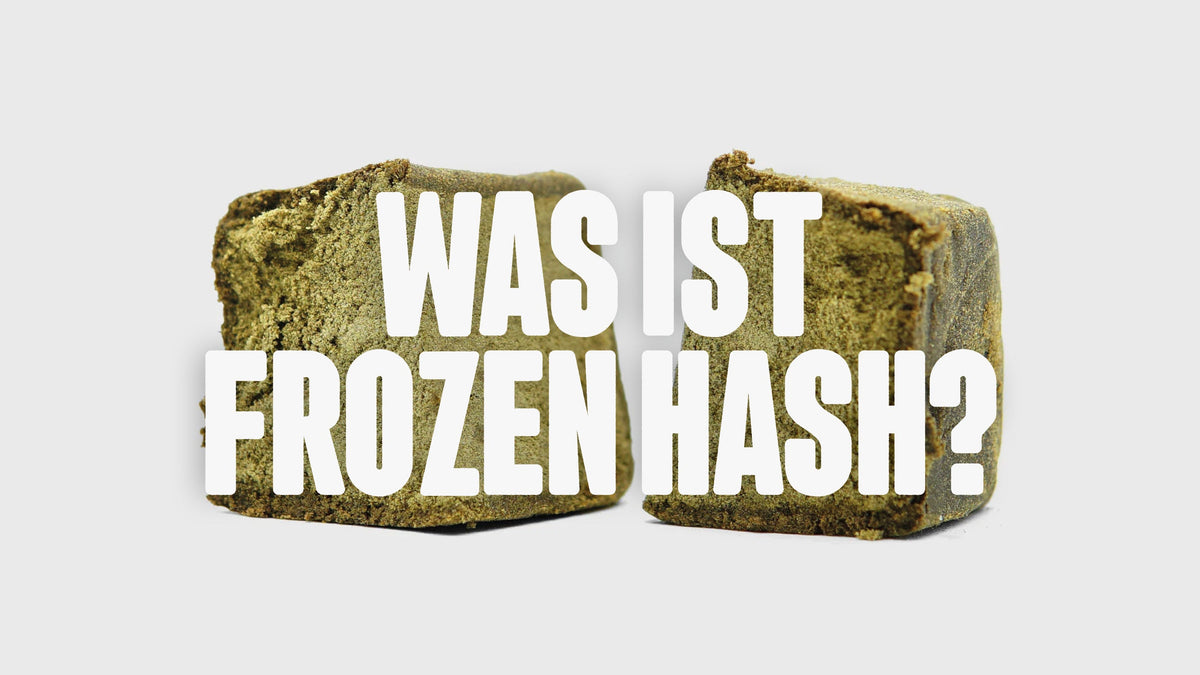 Frozen Hasch