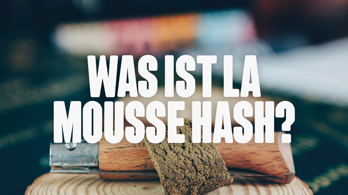Zwei Stück helles Hasch