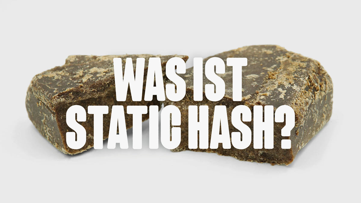 Zwei Stück Hasch