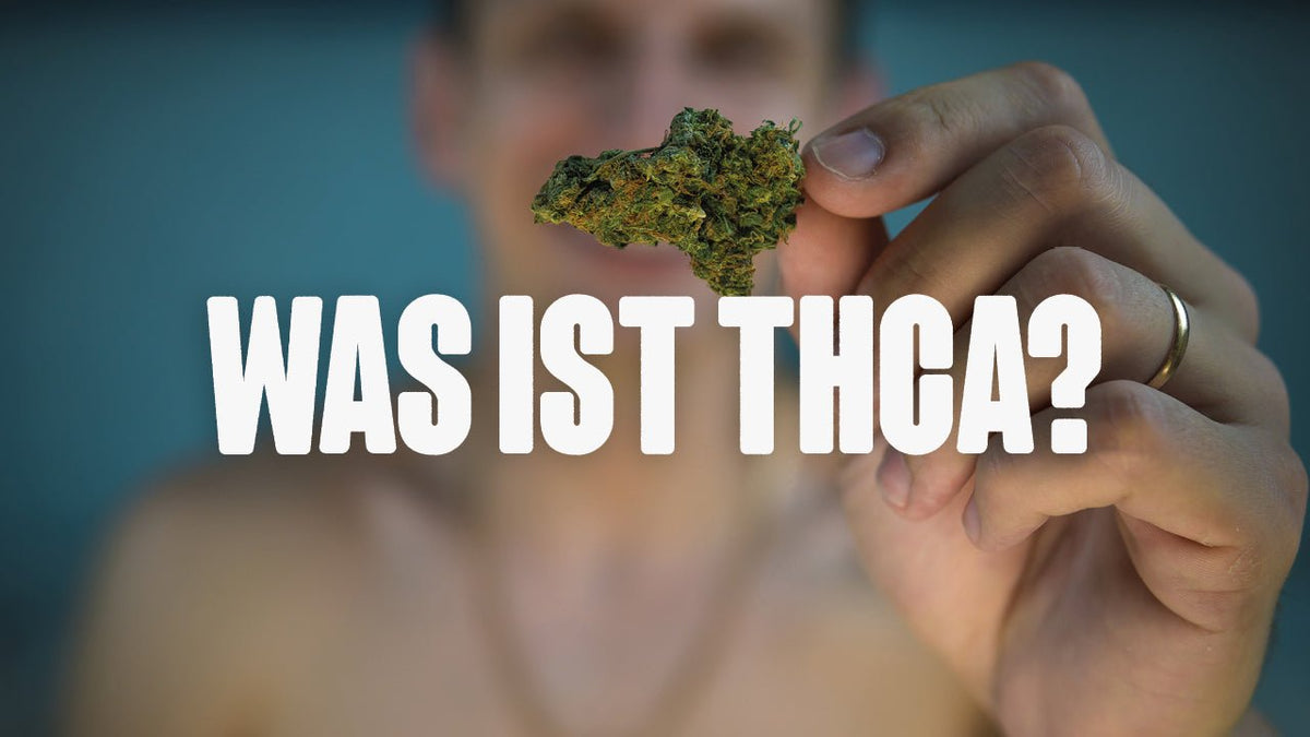 Was ist THCA? - Happy420.de