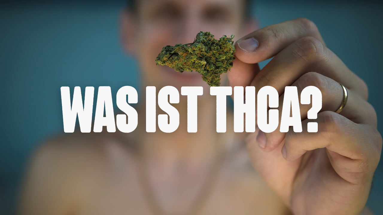 Mann hält Blüte