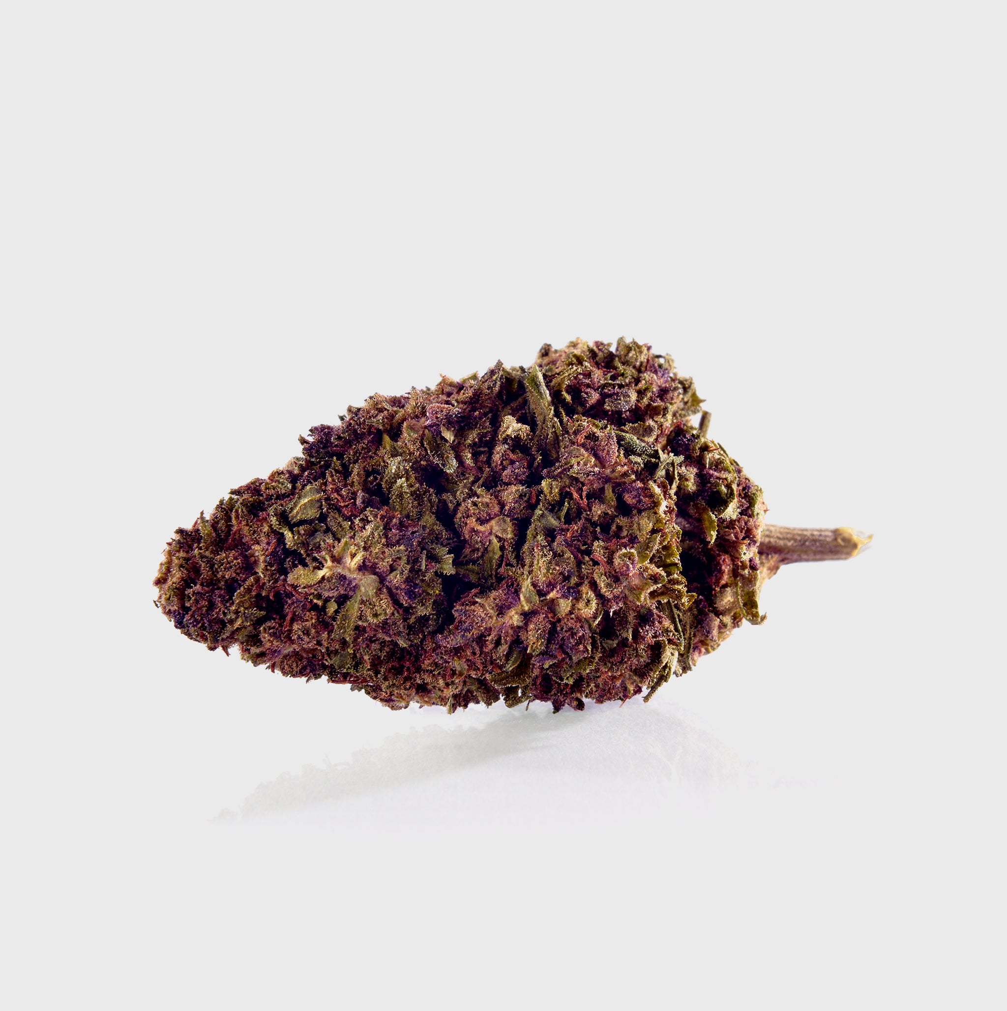 NEU: Purple Kinky Kush 40% HHC 😈⛓️