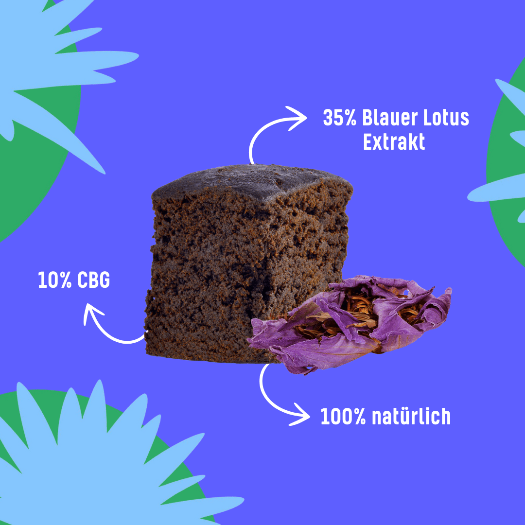elfbar elfa master akku Blauer Lotus entdecken 🌼 Erleben Sie Qualität bei Vapestuff24 main image 0