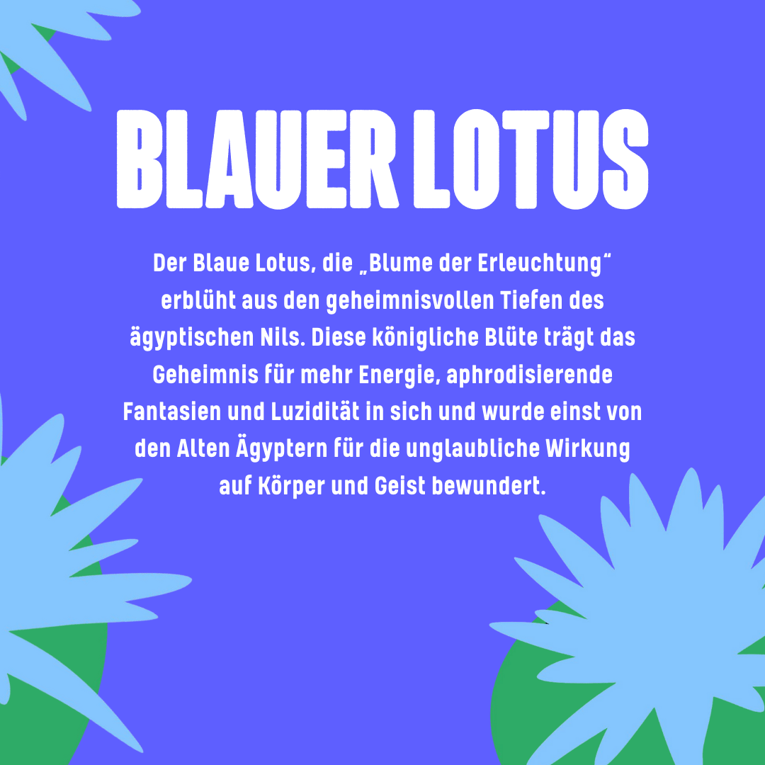 Blauer Lotus Hasch  | Happy420.de
