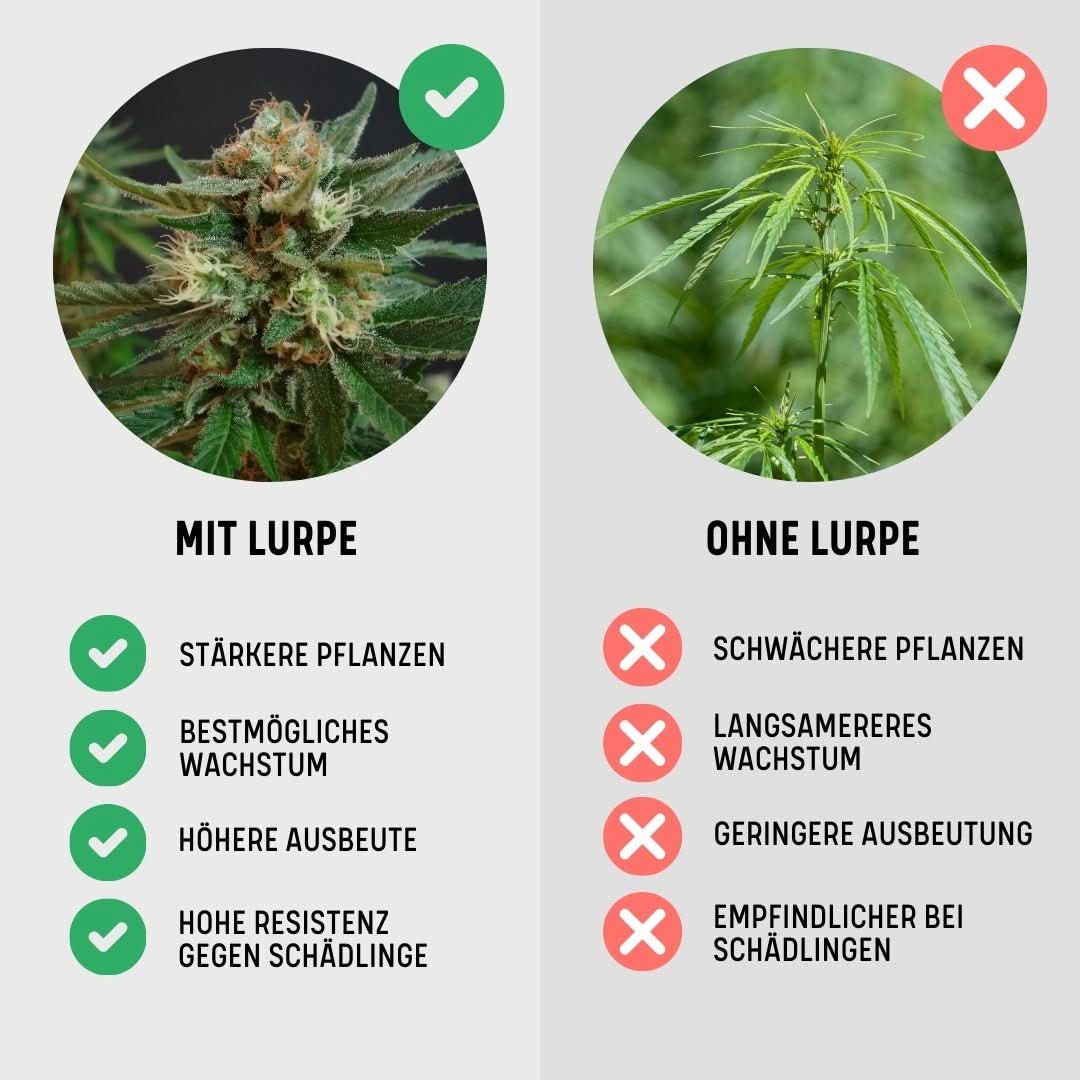 Lurpe Living Soil Set - Happy420.de
