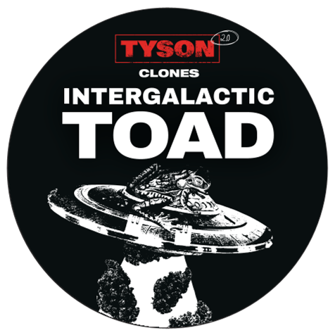 Tyson 2.0 Steckling - Intergalactic Toad - Happy420.de