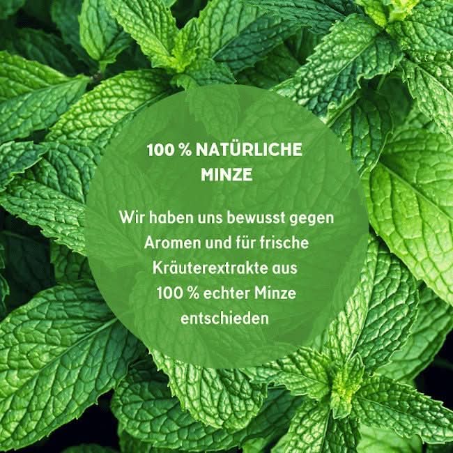 Green Chill Zone CBG - Minz Öl 10% 10ml - Happy420.de