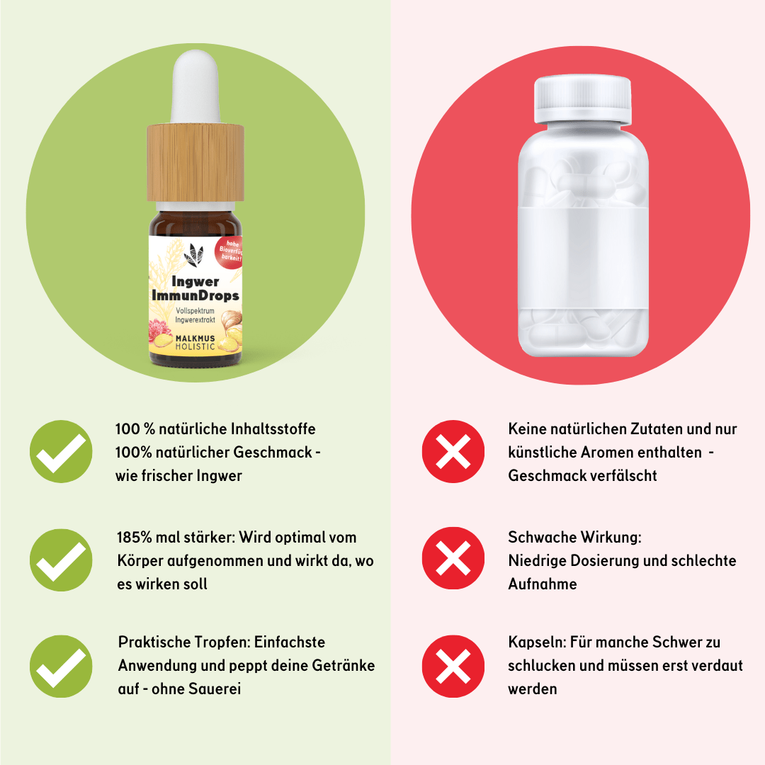 Ingwer ImmunDrops: Die hochkonzentrierte Kraft der Ingwerwurzel - Happy420.de