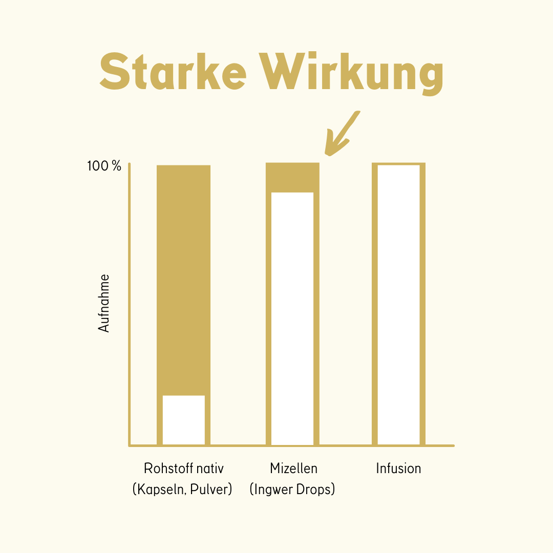 Ingwer ImmunDrops: Die hochkonzentrierte Kraft der Ingwerwurzel - Happy420.de