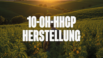10-OH-HHCP