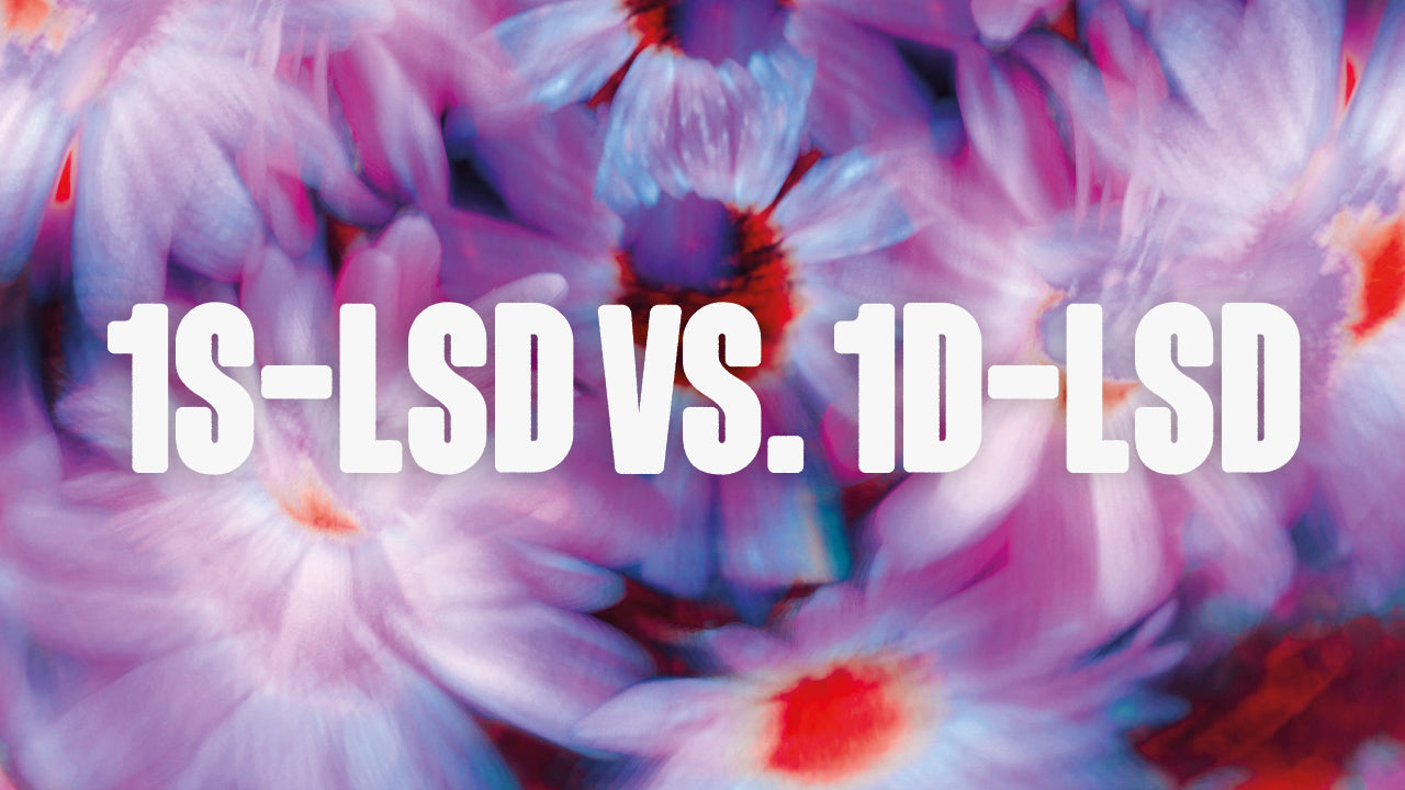 1S LSD vs. 1D LSD