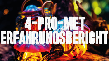 Bunte Pilze abstrakt dargestellt