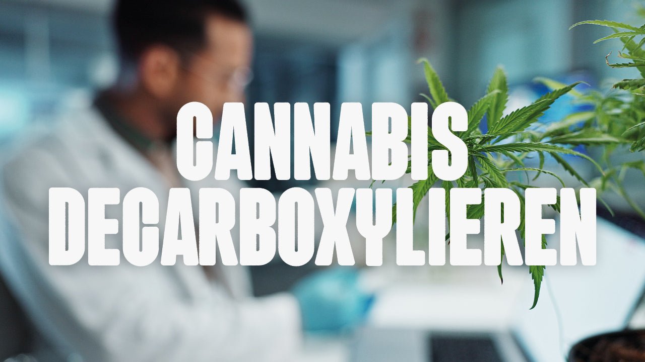 Cannabis decarboxylieren: Anleitung und Tipps für die Aktivierung von THC & CBD - Happy420.de