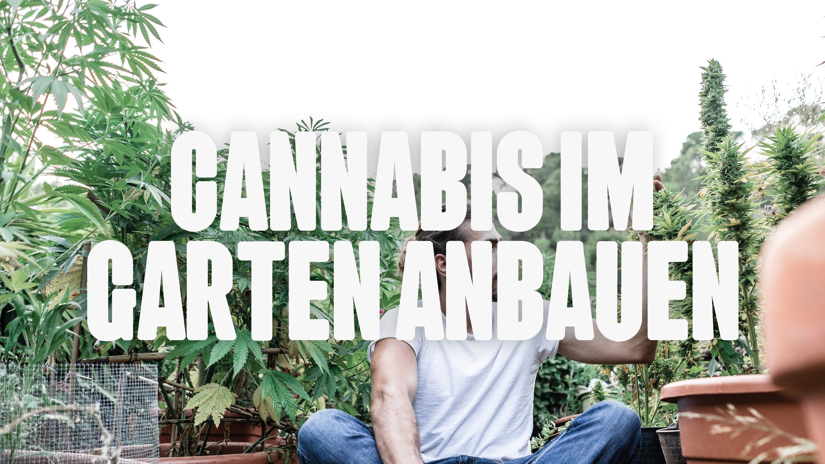 Im Garten anbauen