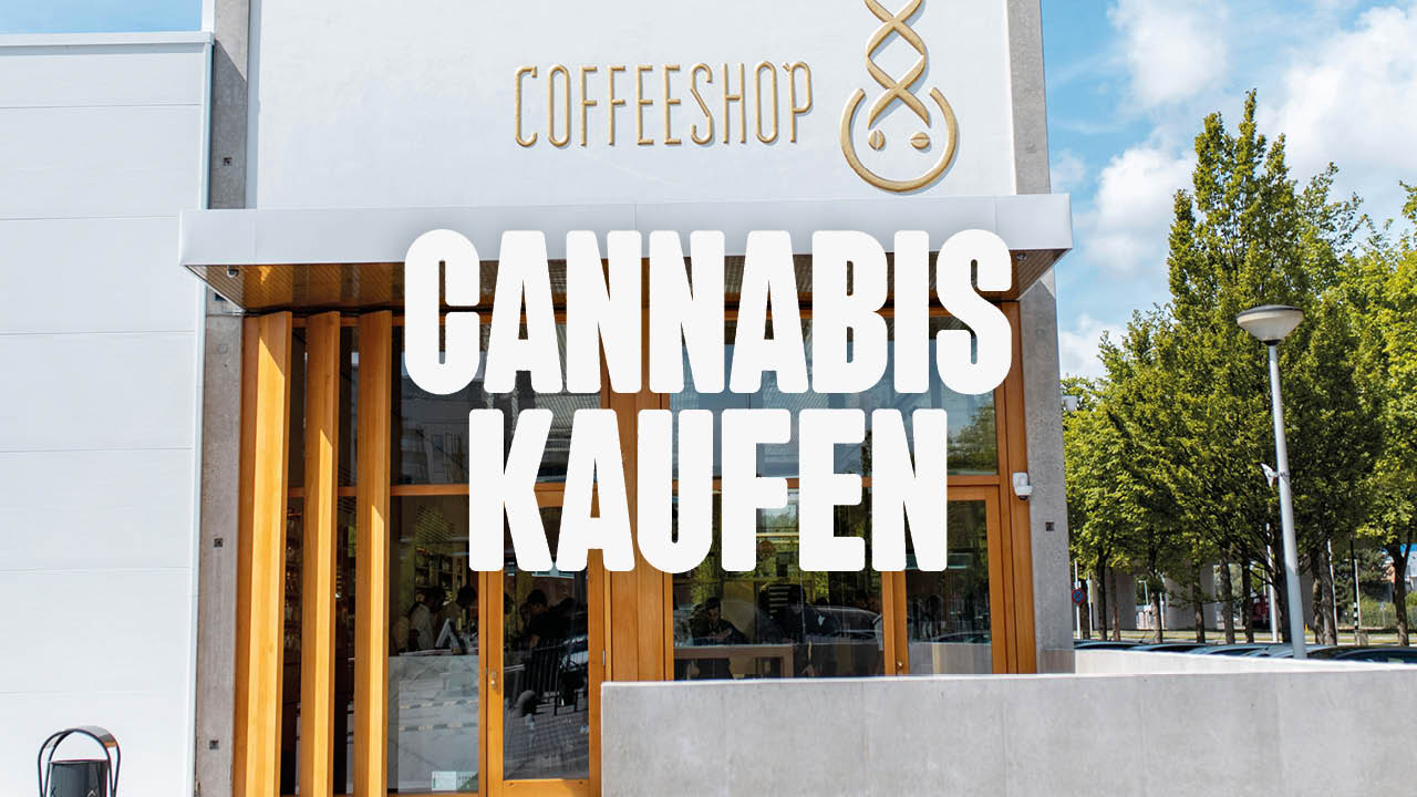 cannabis kaufen