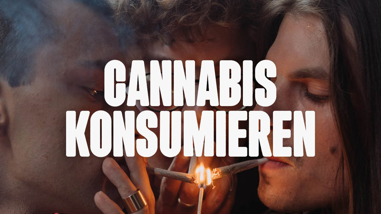 Cannabis Konsumieren