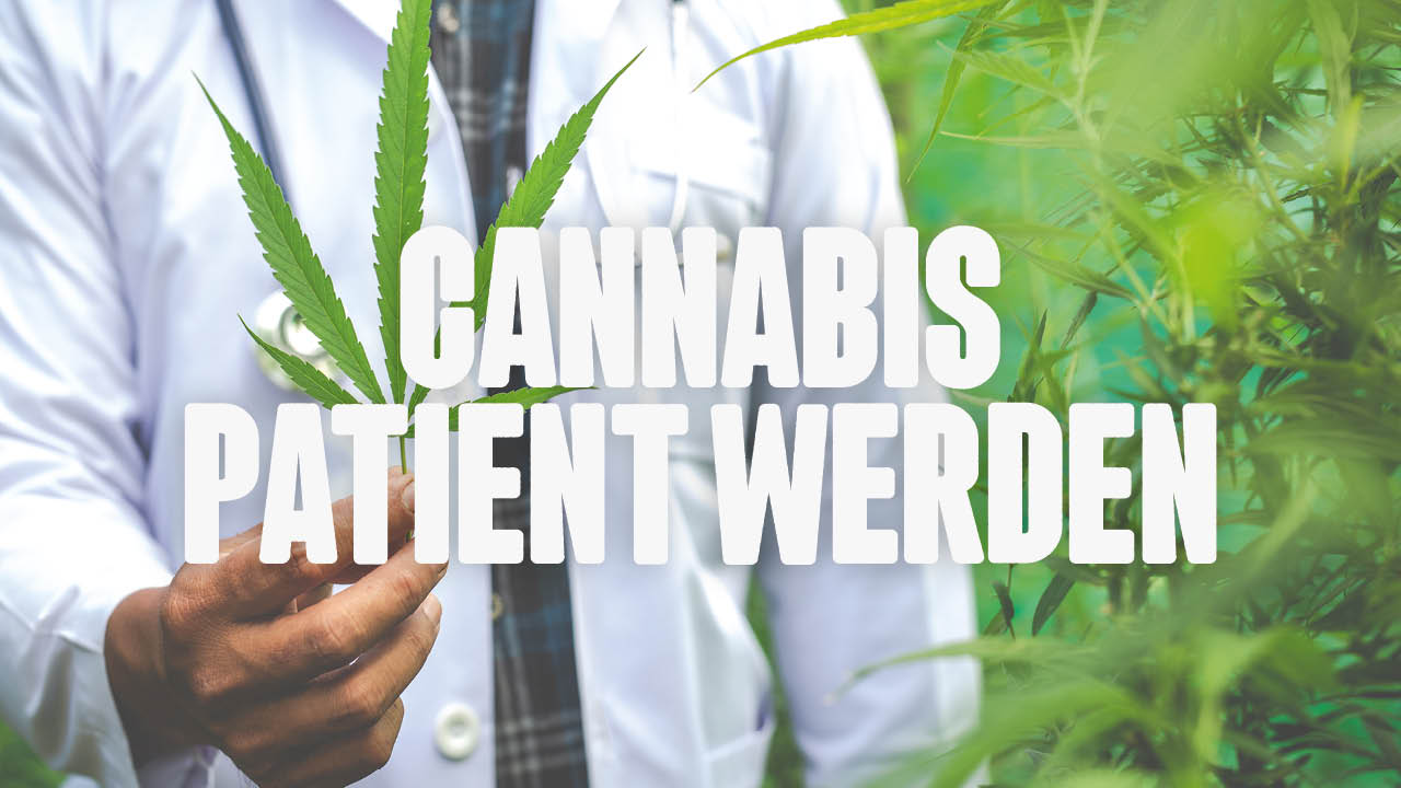 Cannabis Patient werden