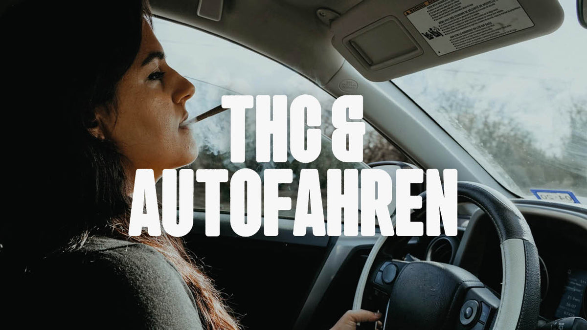 Cannabis und Autofahren: Es gibt einen neuen THC-Grenzwert! - Happy420.de